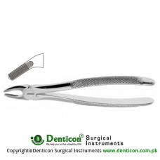 English Pattern Tooth Extracting Forcep Fig. 7 (For Upper Premolars and Roots) Stainless Steel, Standard